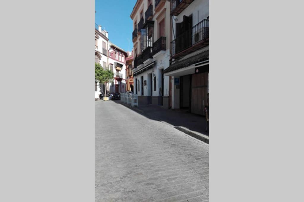 1 Minute From Cathedral. Feel The Heart Of Seville Exterior photo